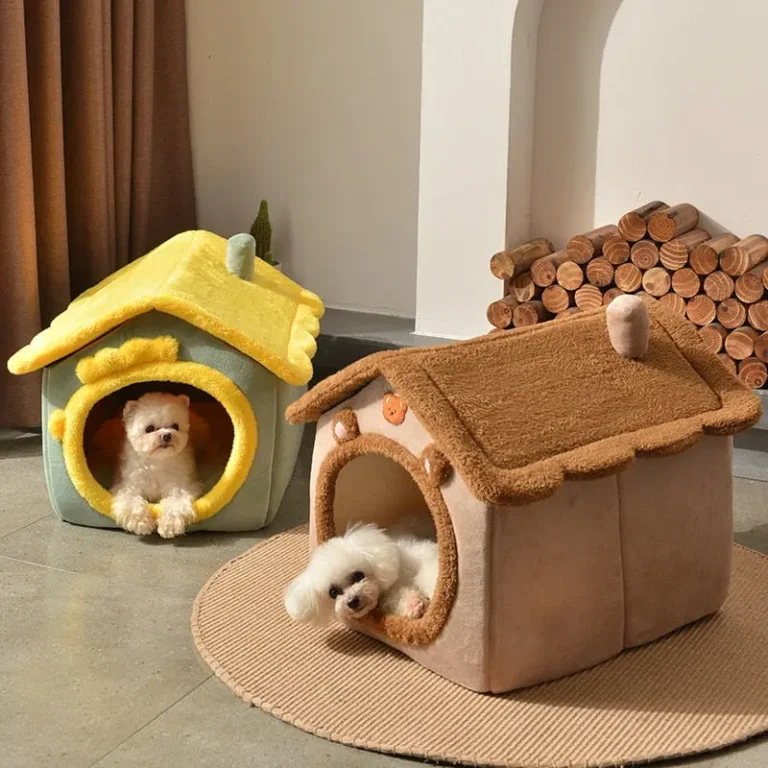 What To Expect From Your Dog’s Overnight Boarding Stay