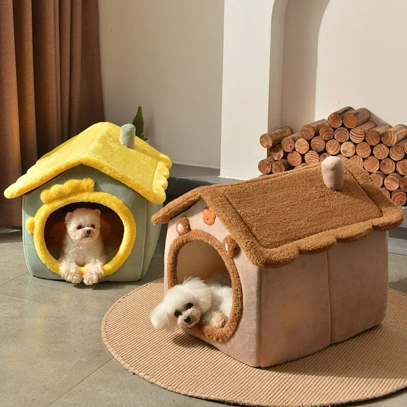 What To Expect From Your Dog’s Overnight Boarding Stay