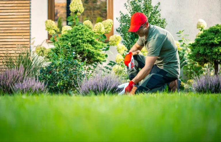 How to Transition Your Lawn Care Service for the Changing Seasons
