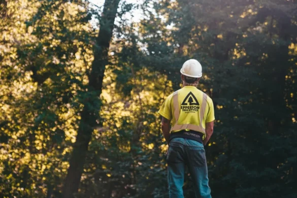 The Environmental Benefits of Tree Services in Urban Areas